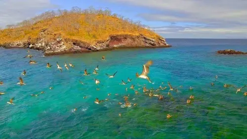 Vivre le long de l'équateur S01E09 Le cycle de l'eau