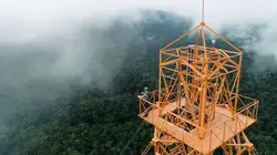 Vivre le long de l'équateur