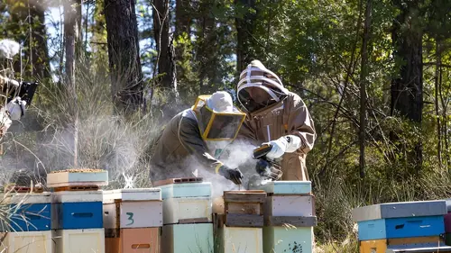 Vivre loin du monde Le Lincolnshire en van