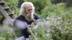 Vivre loin du monde La forêt écossaise