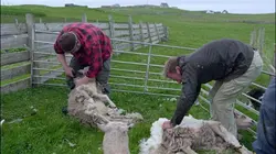 Vivre loin du monde Islande