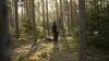 Vivre loin du monde S10E01 Forêt suédoise (2019)
