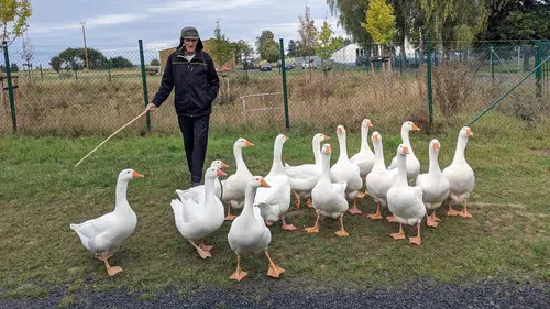 Vivre ses vieux jours à la ferme