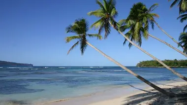 Vivre sur une île de rêve, des Français tentent l'aventure au soleil