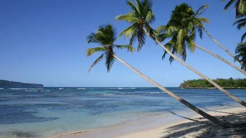 Casting Vivre sur une île de rêve, des Français tentent l'aventure au soleil