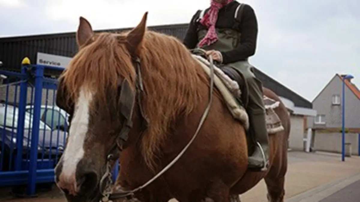 Vogelpik Sam Touzani