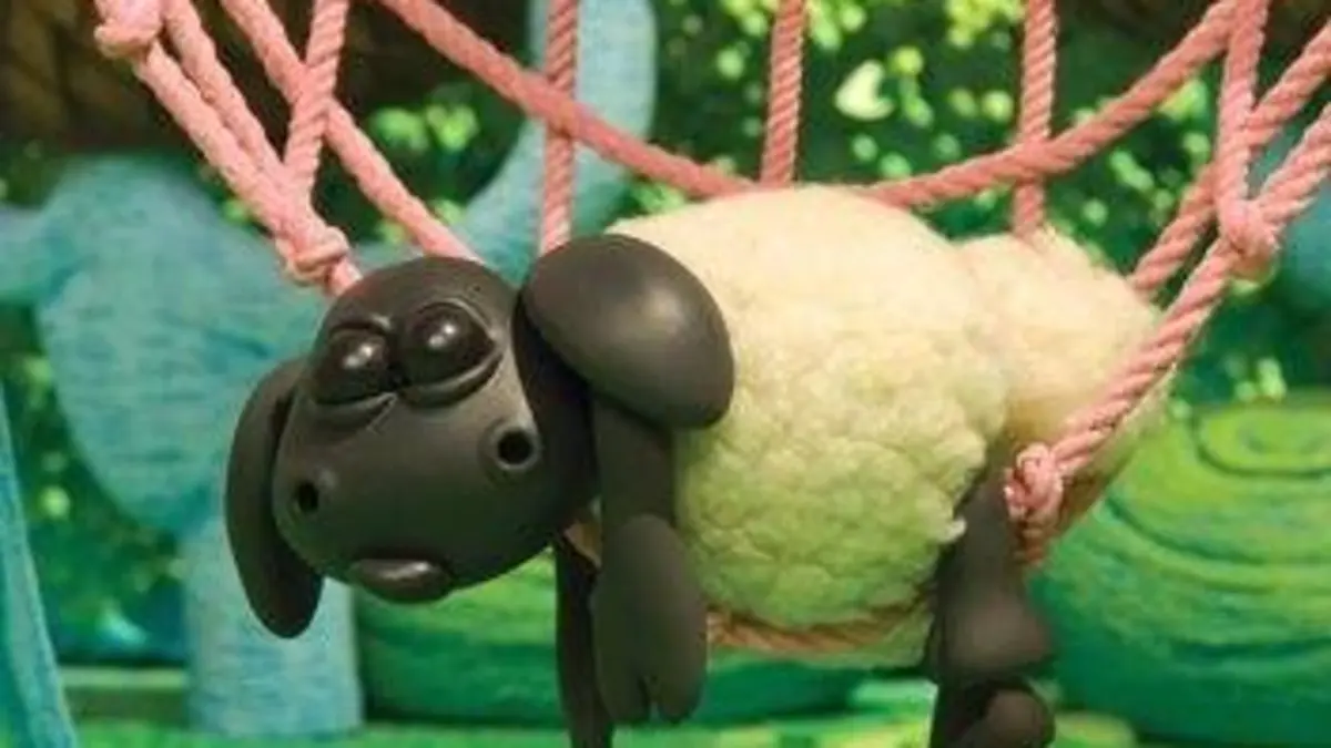 Voici Timmy S02E04 Un bon lit pour Timmy