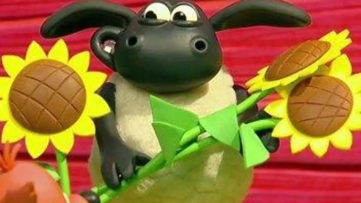 Voici Timmy S02E12 Joyeux anniversaire Timmy