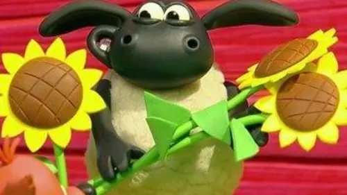 Voici Timmy S02E12 Joyeux anniversaire Timmy