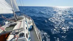 Voile Coupe de l'America, Régate préliminaire