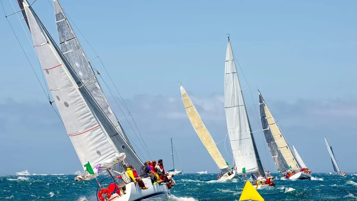 Voile Louis Vuitton Cup 2024