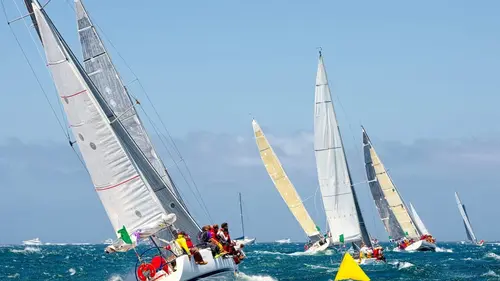 Voile Louis Vuitton Cup 2023-2024