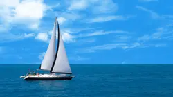 Grand Prix de Sydney Voile Sail GP 2023/2024