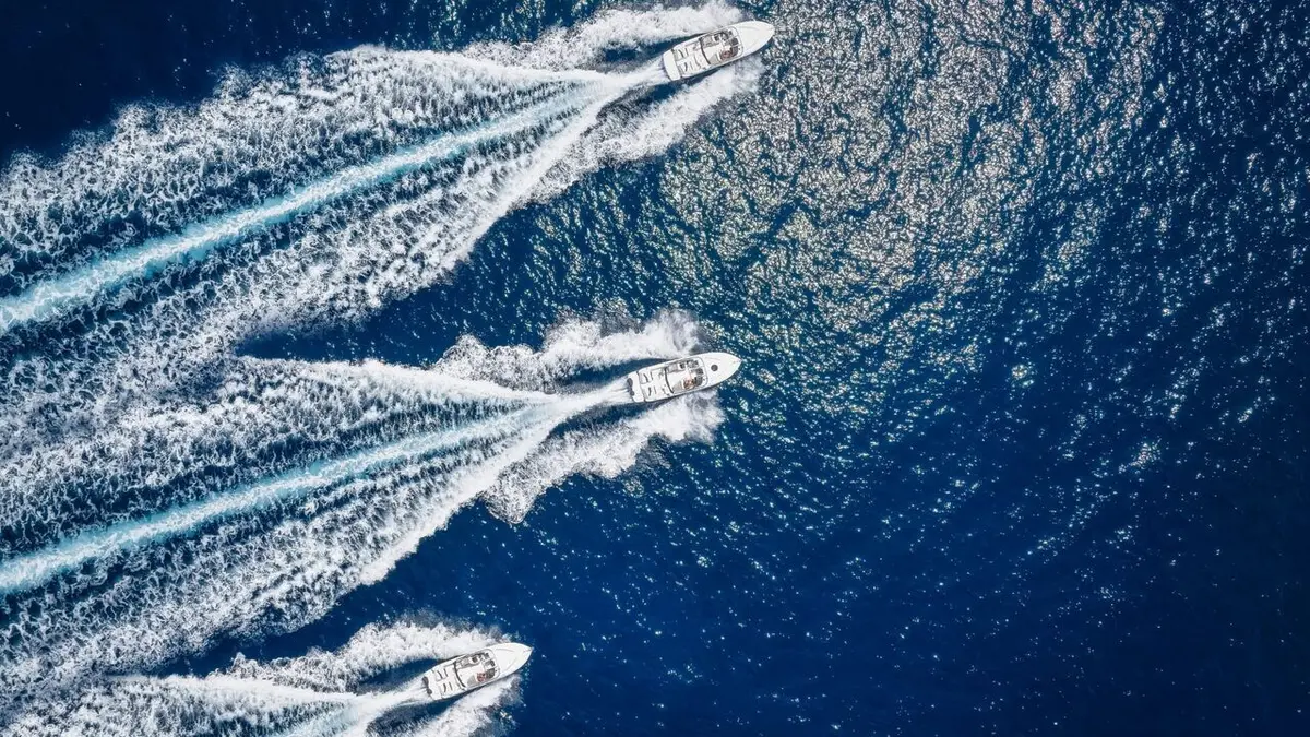 Voile Trophée Princesse Sofia