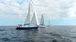 Voile Trophée Princesse Sofia