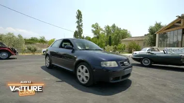 Voiture à vendre Audi S3 Quattro BMW Z3 Cabriolet