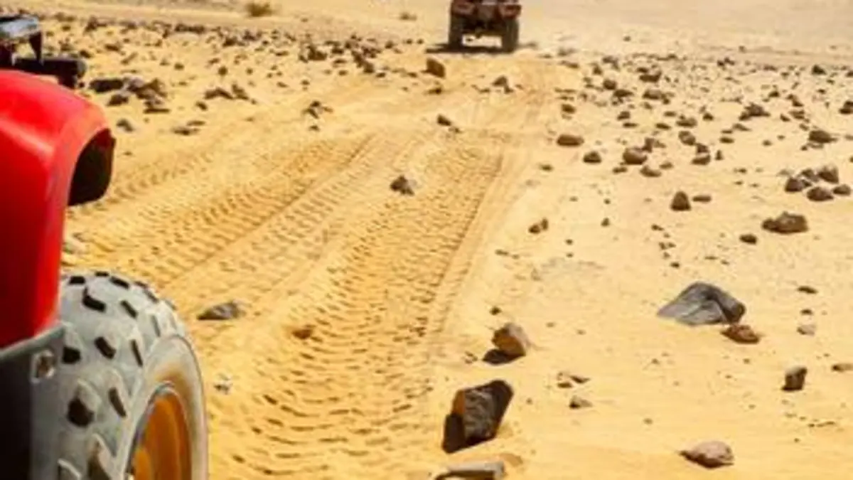 Voitures de tourisme électriques : Coupe du monde