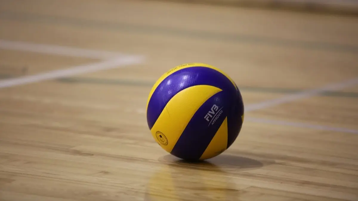 Volley-ball CEV Cup
