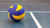 Volley-ball EuroVolley féminin