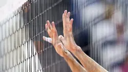 Volley-ball : le film des finales LNV