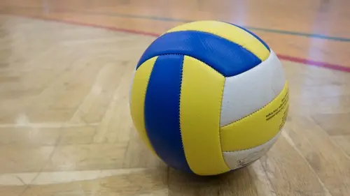 Volley-ball Ligue des champions