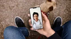 Votre santé, un trésor très convoité