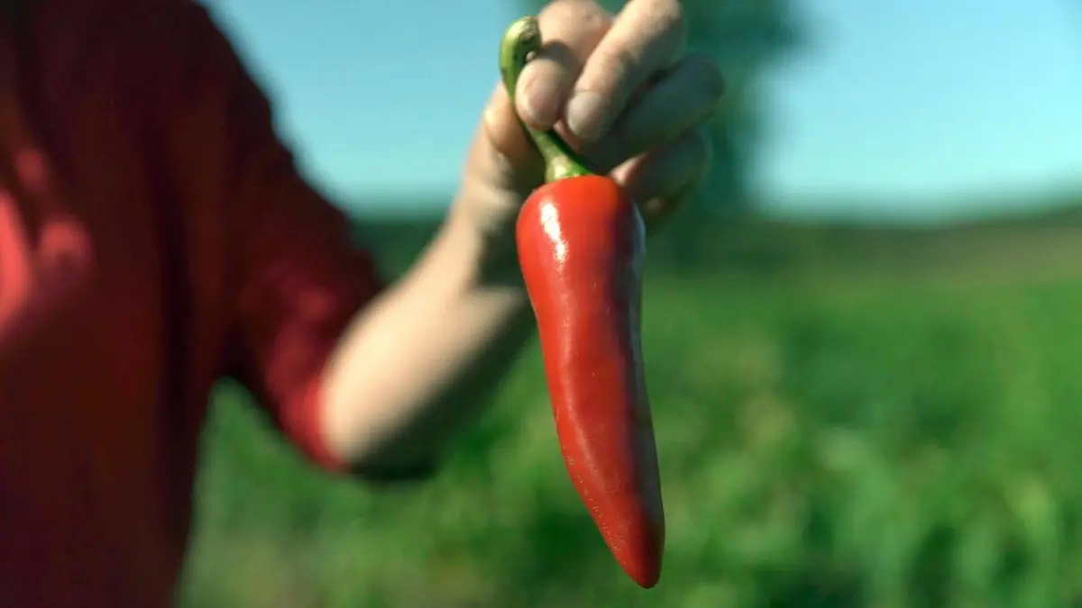 Voyage à travers les couleurs S04E03 La France en rouge