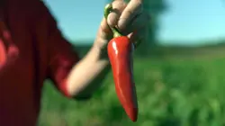 Voyage à travers les couleurs S04E03 La France en rouge