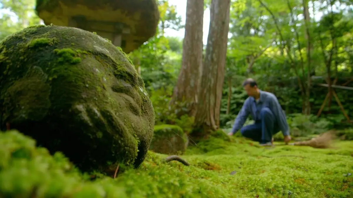 Voyage à travers les couleurs E05 Le Japon multicolore