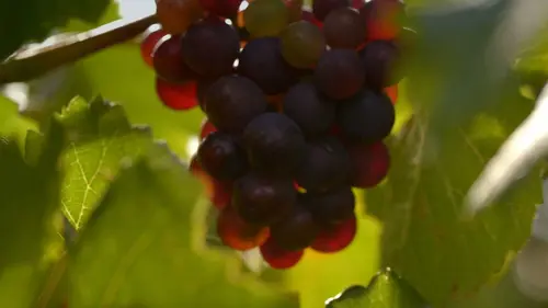 Casting Voyage à travers les couleurs S03E03 L'Australie en rouge