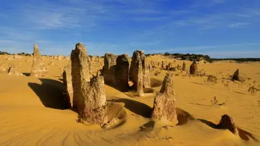 L'Australie en jaune