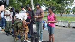 Voyage au bout de l'enfer S04E07 La Havane