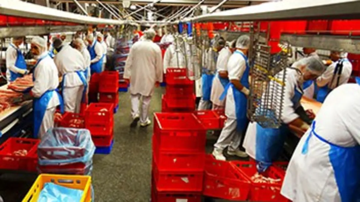 Voyage au bout de la viande