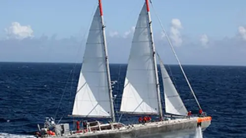 Voyage au centre de la mer