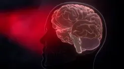 Voyage au coeur de la nuit