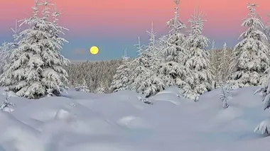 Sous les arbres, le changement