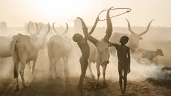 Voyage au coeur des derniers édens