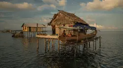 Voyage au coeur des derniers édens