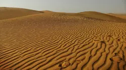 Voyage au coeur du Sahara algérien