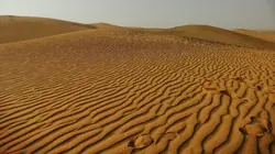 Visuel de Voyage au coeur du Sahara algérien