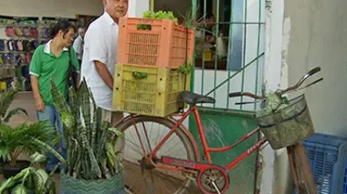 Brésil : un isolat japonais en Amazonie