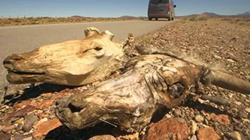 Voyage aux Amériques S04E04 Argentine, la Route 40