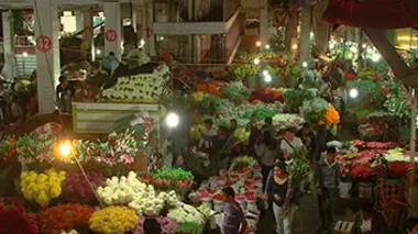 Les marchés de Mexico : mille ans de commerce