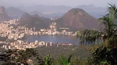 La Mata Atlântica : la forêt d'émeraude du Brésil