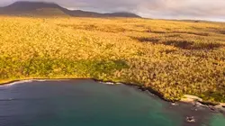 Voyage aux Amériques