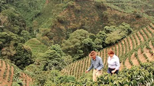Voyage aux Amériques S03E03 Colombie, la capitale du café