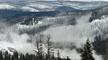 Le parc de Yellowstone en hiver
