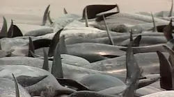 Voyage dans le surnaturel