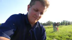 Voyage dans le surnaturel Crop Circles