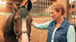 Voyage dans le surnaturel Médiums